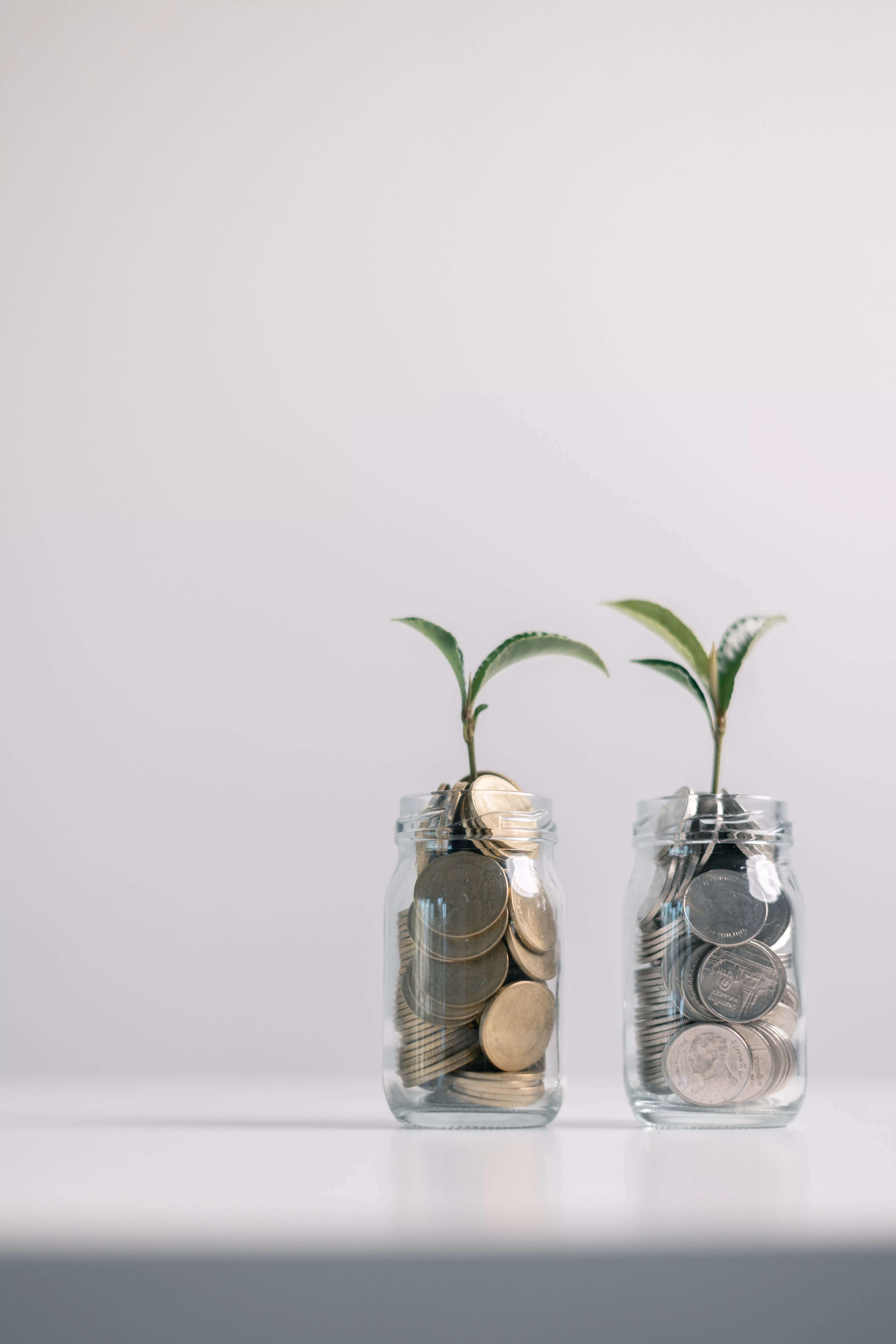 Gefäß mit Geld aus dem Pflanze wächst